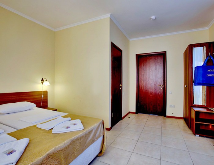 Стандарт 2-местный 1-комнатный - Гостиница «Ирэн»